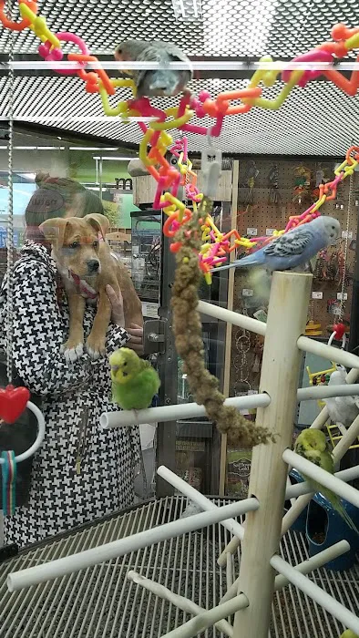Petco Picture 3