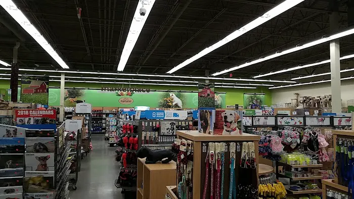 Petco Picture 6