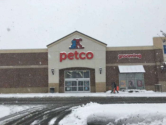 Petco Picture 7