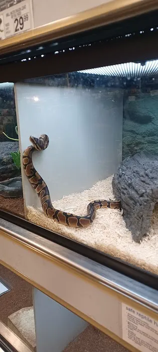 Petco Picture 1