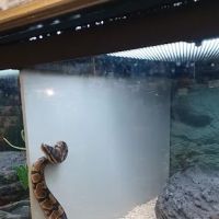 Petco ico