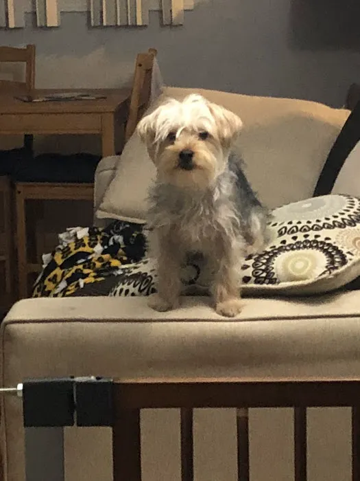 Petco Picture 2