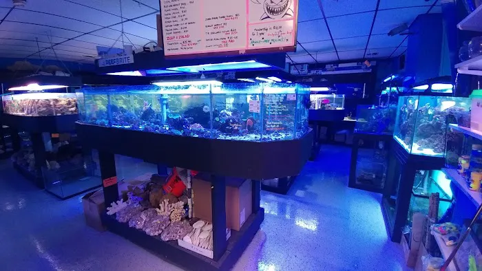 Oceans and Seas Picture 2