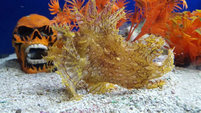 Oceans and Seas Picture 5