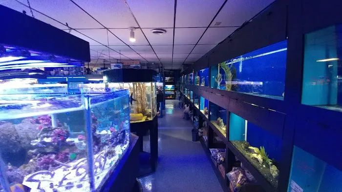 Oceans and Seas Picture 1