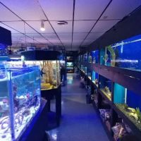 Oceans and Seas ico