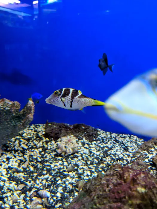 Oceans and Seas Picture 9