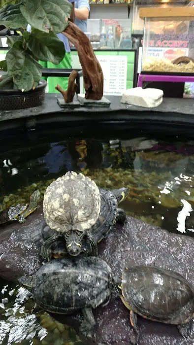 Great Lakes Reptiles Picture 1