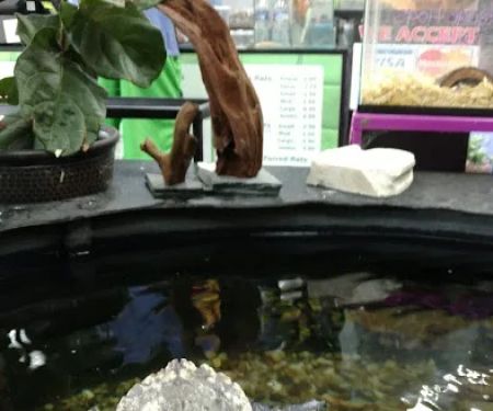 Great Lakes Reptiles