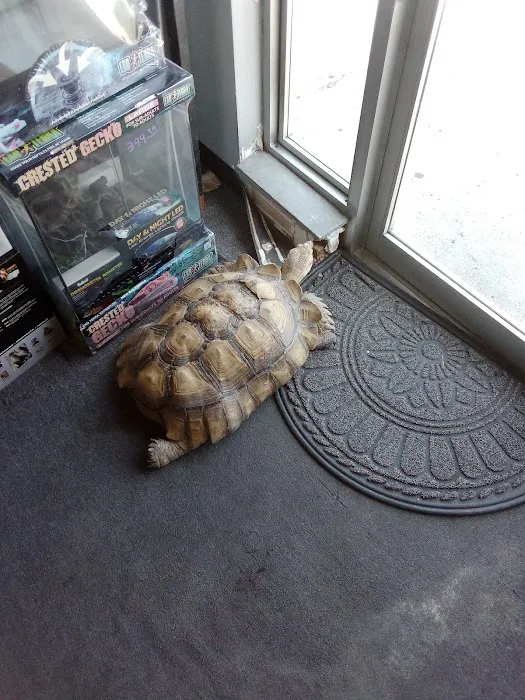 Great Lakes Reptiles Picture 2