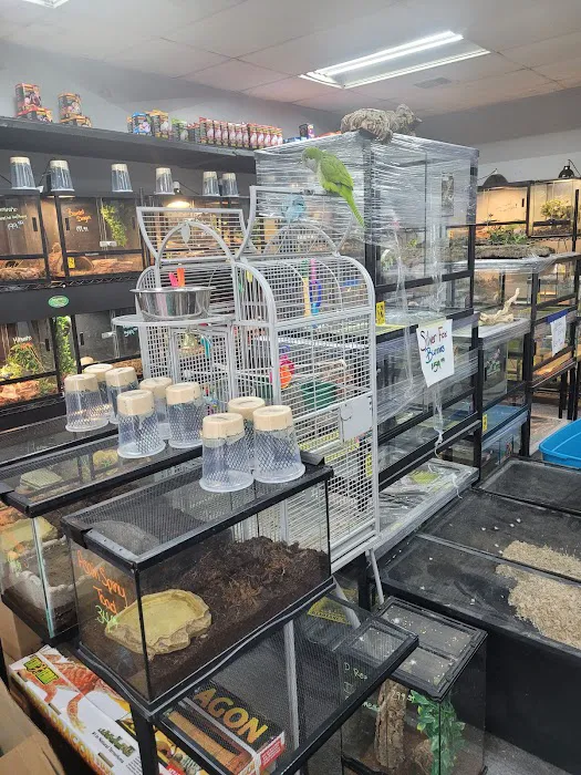 Great Lakes Reptiles Picture 6