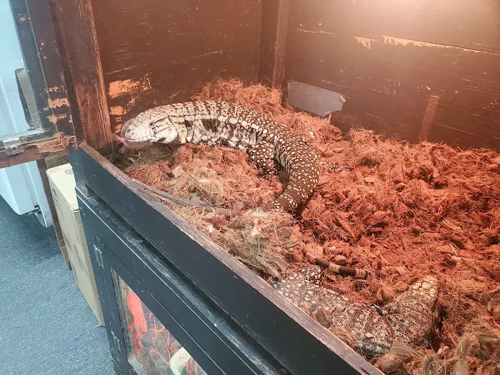 Great Lakes Reptiles Picture 4