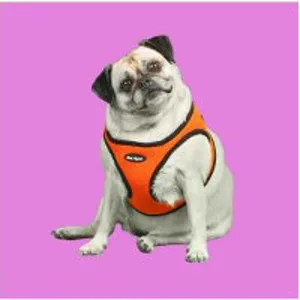 Classic Pet Supply Picture 2