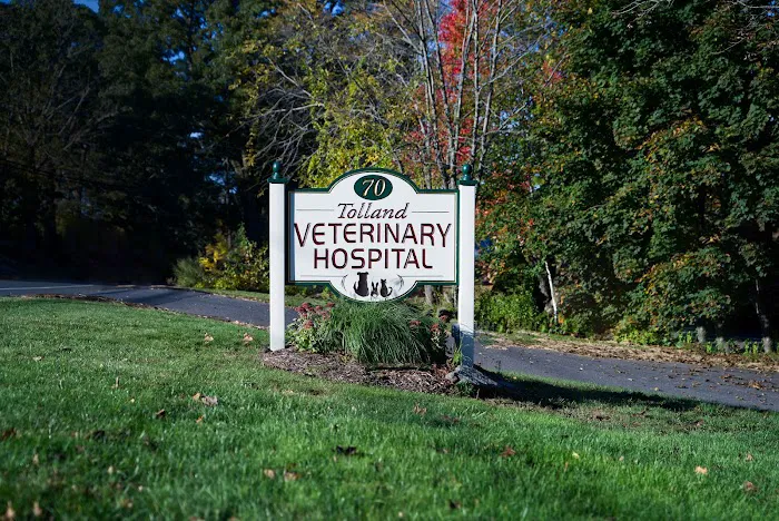 Tolland Veterinary Hospital Picture 8