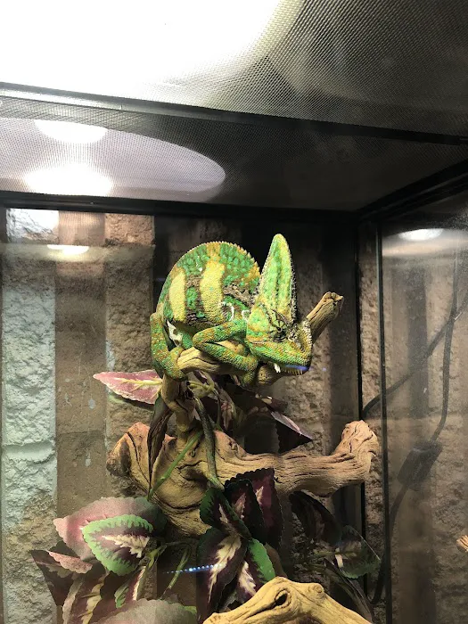 Greenwood Pets & Plants Picture 9