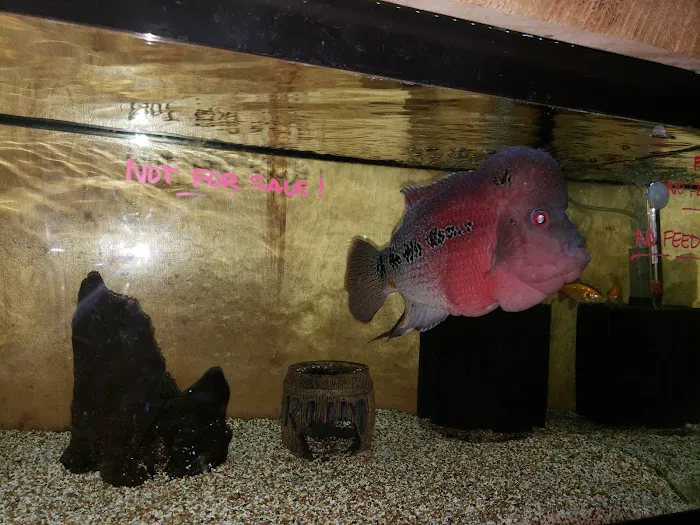 Greenwood Pets & Plants Picture 6