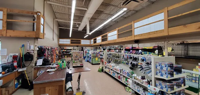 Greenwood Pets & Plants Picture 5