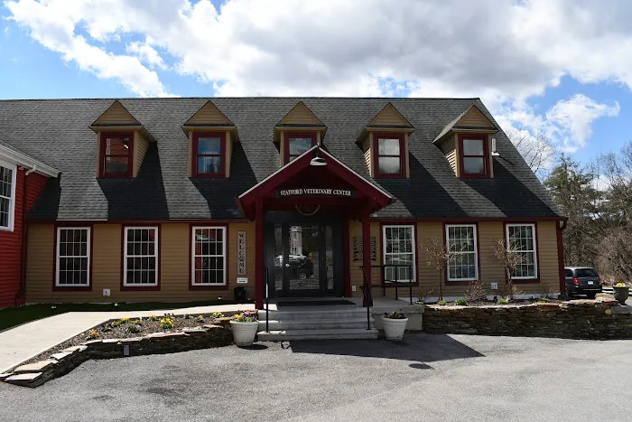Stafford Veterinary Center Picture 4