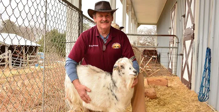 Stafford Veterinary Center Picture 5