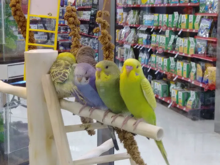Petco Picture 3