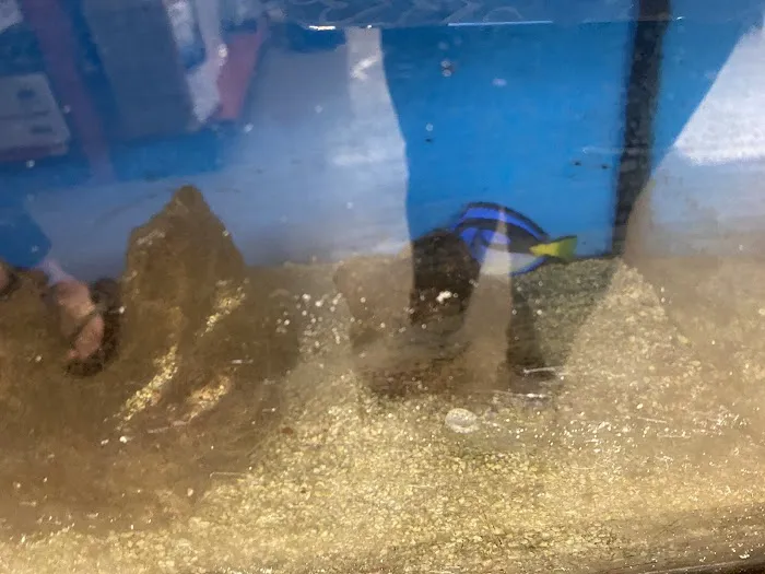 Petco Picture 2