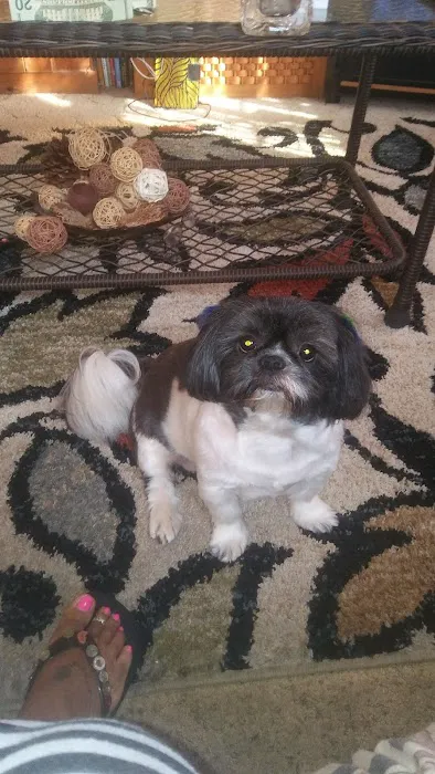 Petco Picture 9