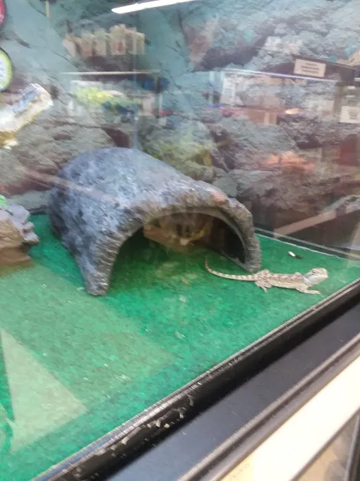 Petco Picture 1