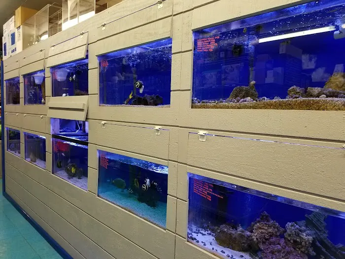 Stingray Bay Picture 6