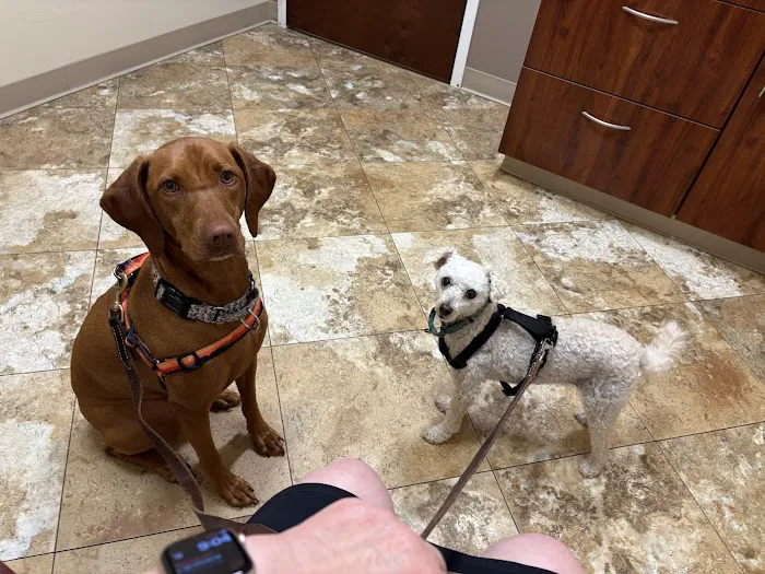 Fenton River Veterinary Hospital- Stafford CT Picture 1