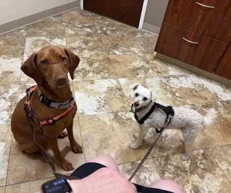 Fenton River Veterinary Hospital- Stafford CT