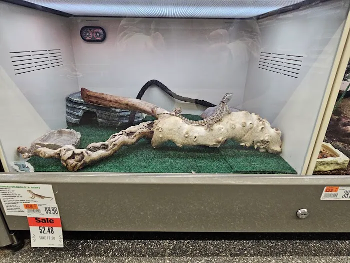 Pet Supplies Plus Grand Blanc Picture 2
