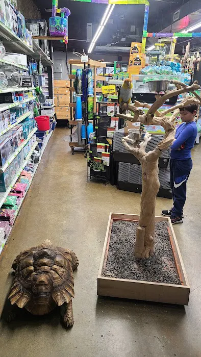 Lou's Pet Shop Picture 2