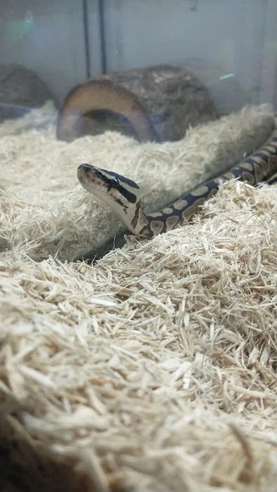Lou's Pet Shop Picture 8