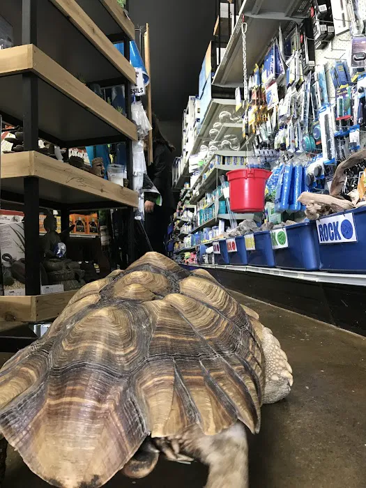 Lou's Pet Shop Picture 5