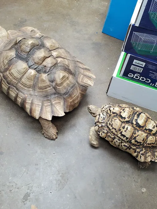 Lou's Pet Shop Picture 1