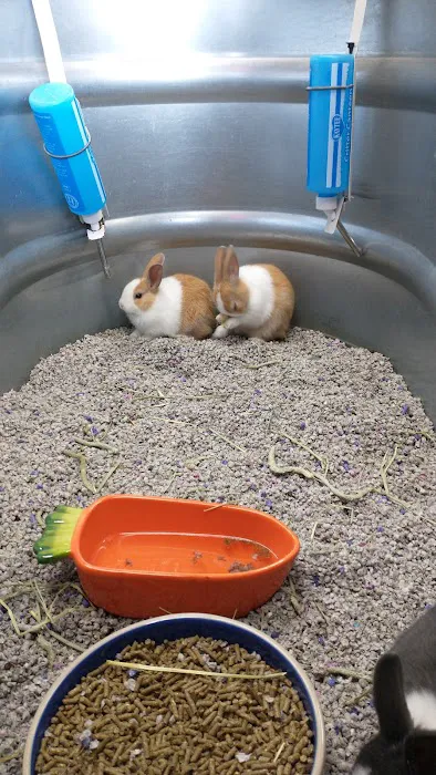 Lou's Pet Shop Picture 3