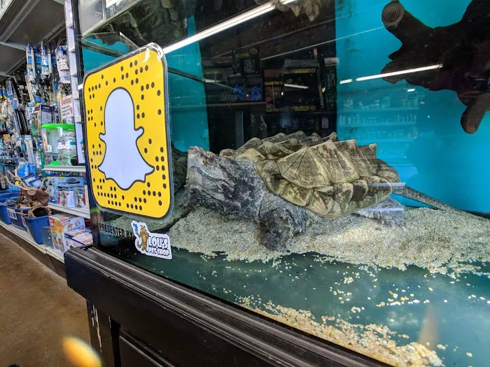 Lou's Pet Shop Picture 7