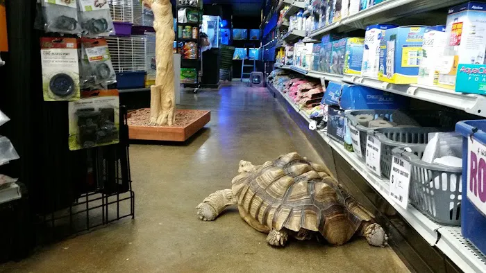 Lou's Pet Shop Picture 10