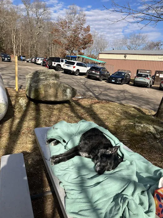 Bolton Veterinary Hospital Picture 5