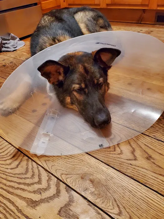 Bolton Veterinary Hospital Picture 6