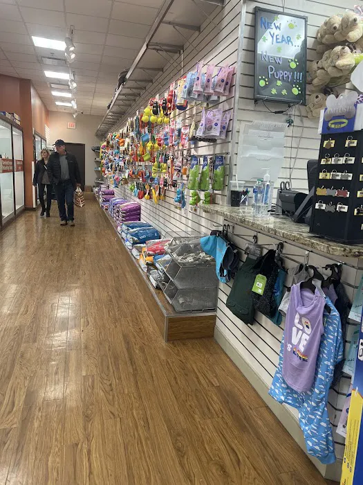 Petland Novi Picture 7