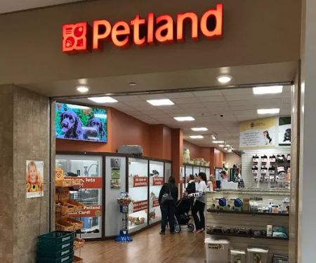 Petland Novi