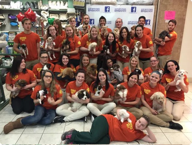 Petland Novi Picture 9
