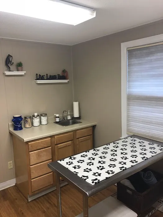 VCA Animal Hospital of Vernon Picture 4