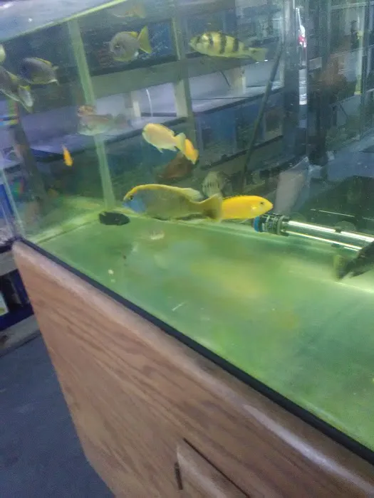 Fishy Bizz Picture 7