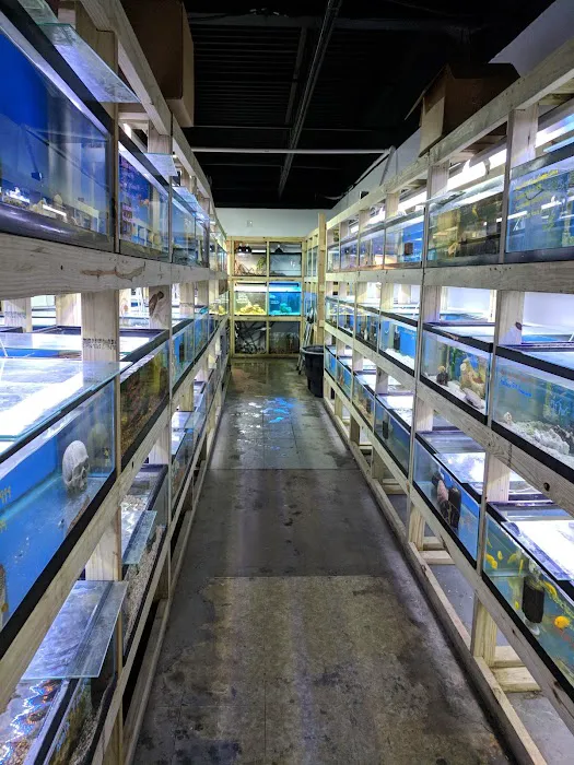 Fishy Bizz Picture 2