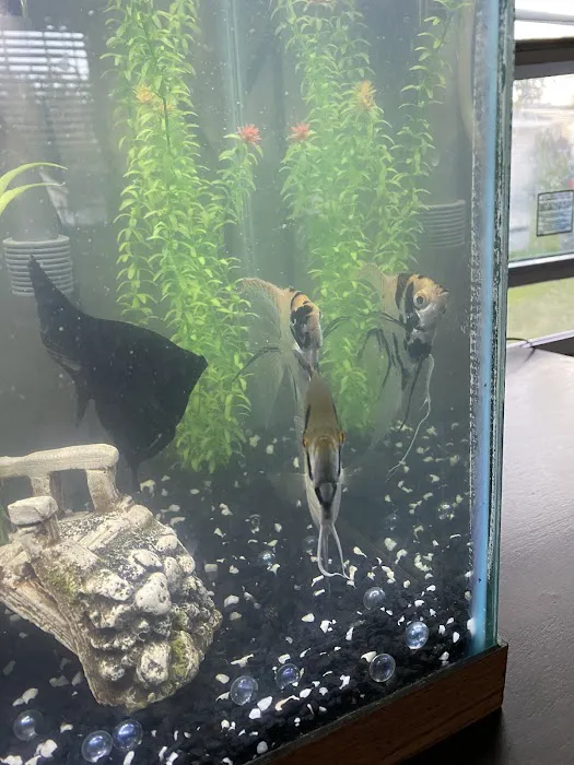 Fishy Bizz Picture 5