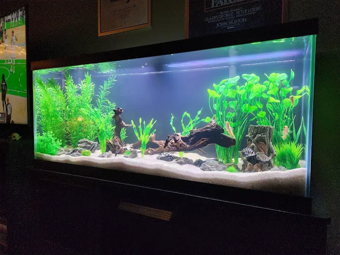 Fishy Bizz Picture 8