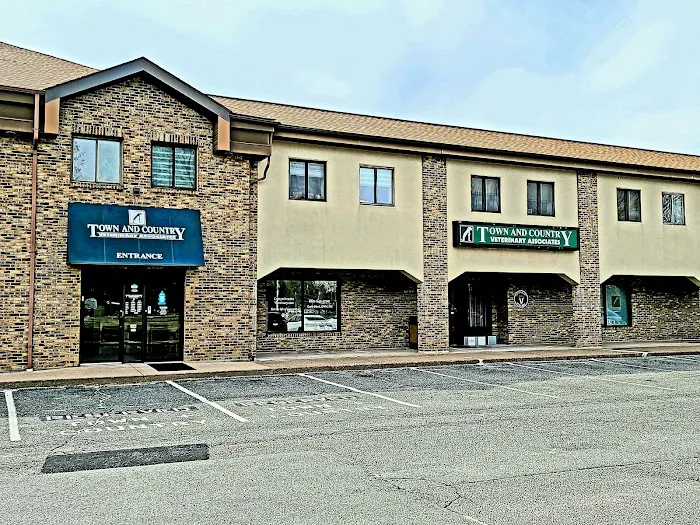 Town & Country Veterinary Associates Picture 7