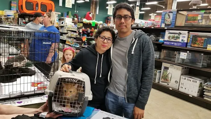 Premier Pet Supply Picture 3